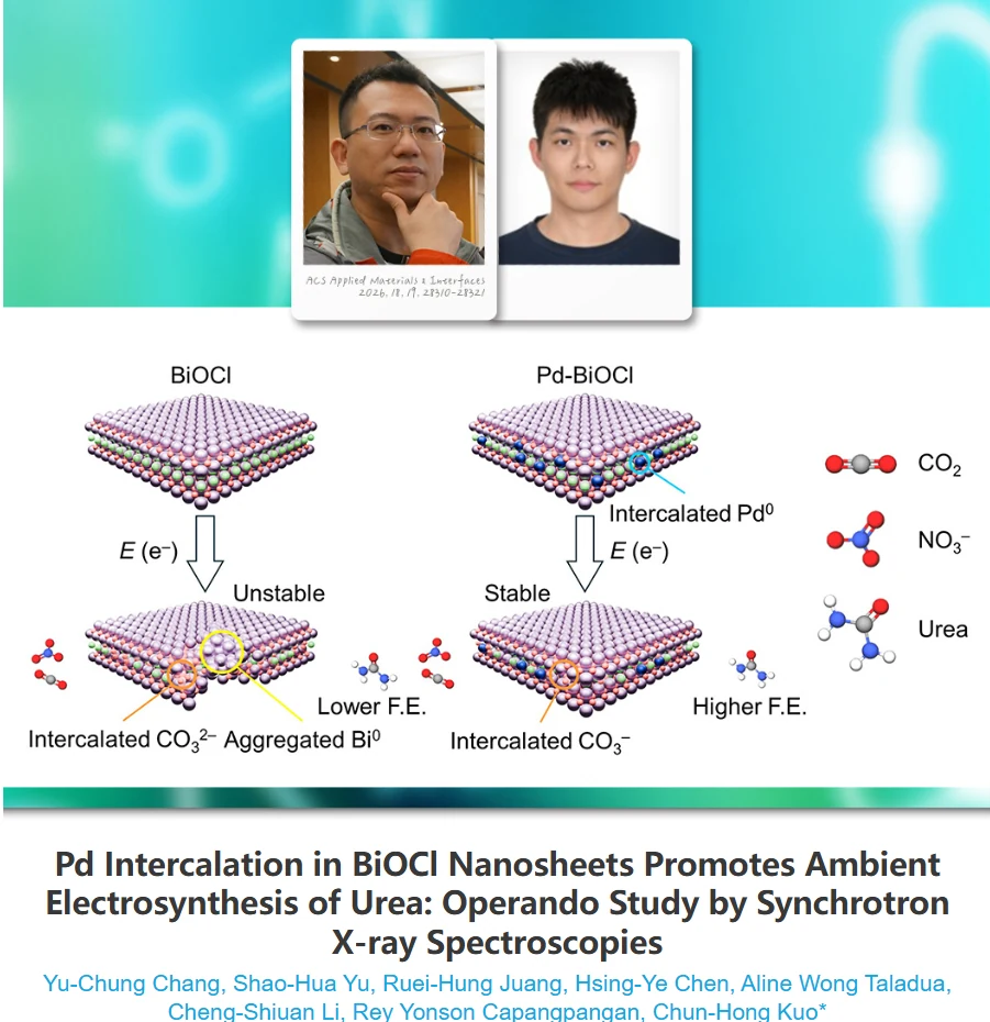 Urea electrosynthesis research highlighted as Taiwan New Discoveries