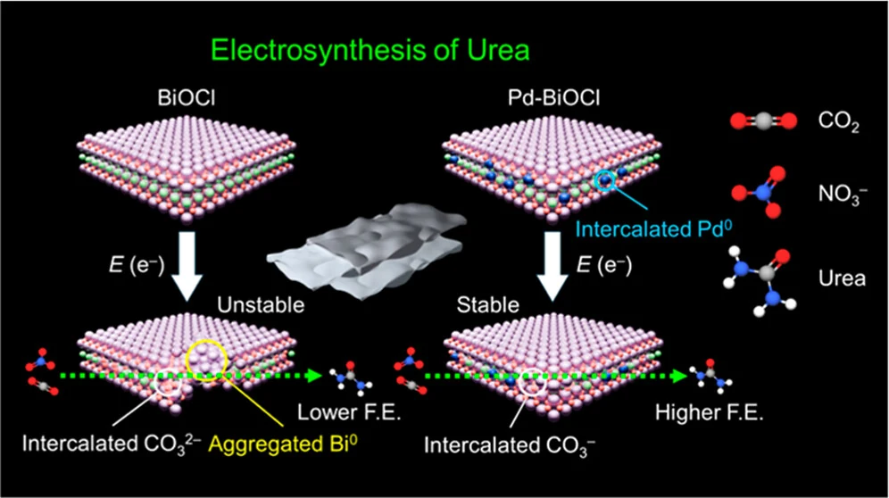 Pd Intercalation in BiOCl Nanosheets Promotes Ambient Electrosynthesis of Urea: Operando Study by Synchrotron X-ray Spectroscopies