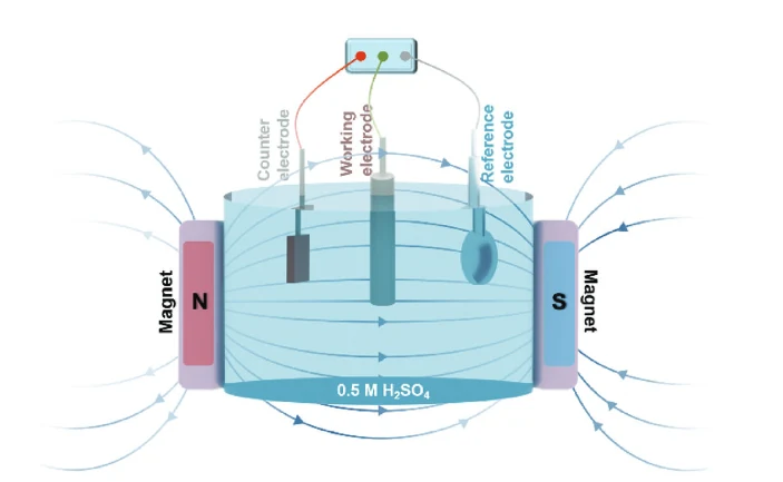 Spin-polarization strategy for enhanced acidic oxygen evolution activity