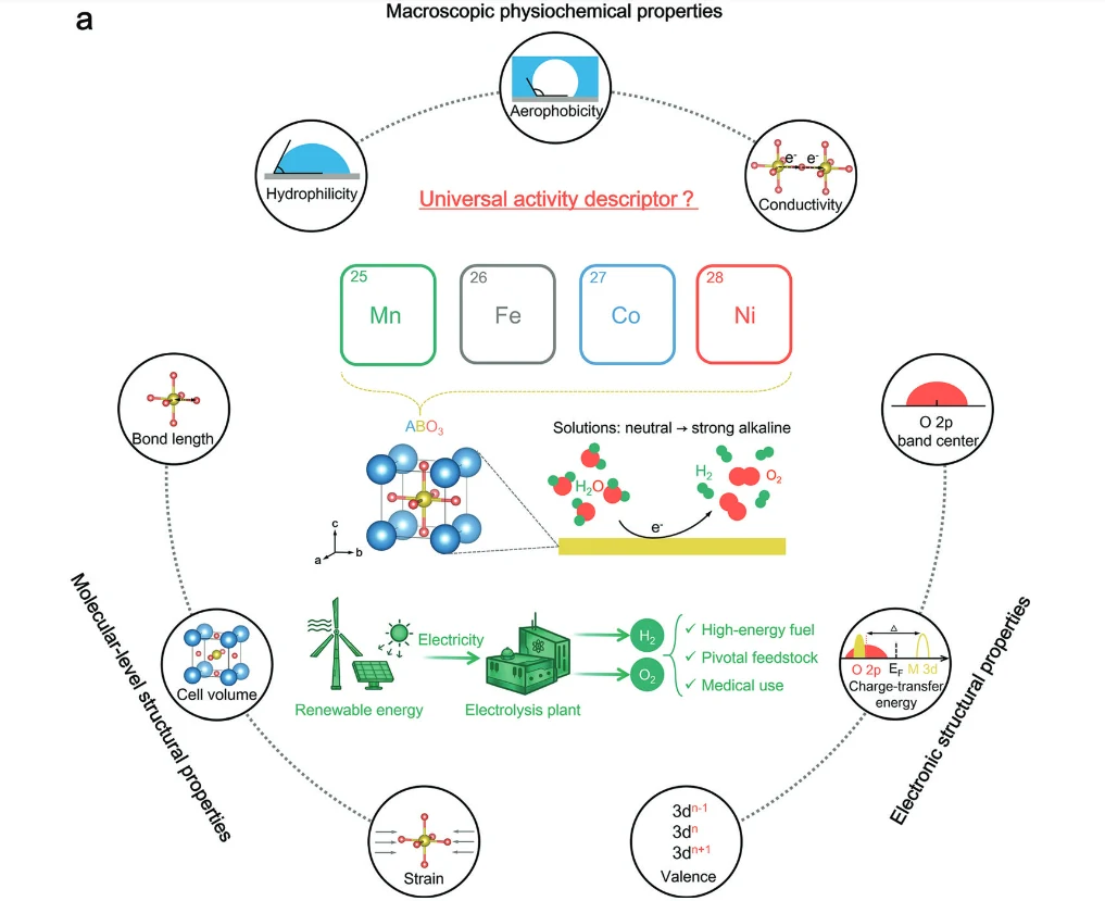 Identifying a universal activity descriptor and a unifying mechanism concept on perovskite oxides for green hydrogen production