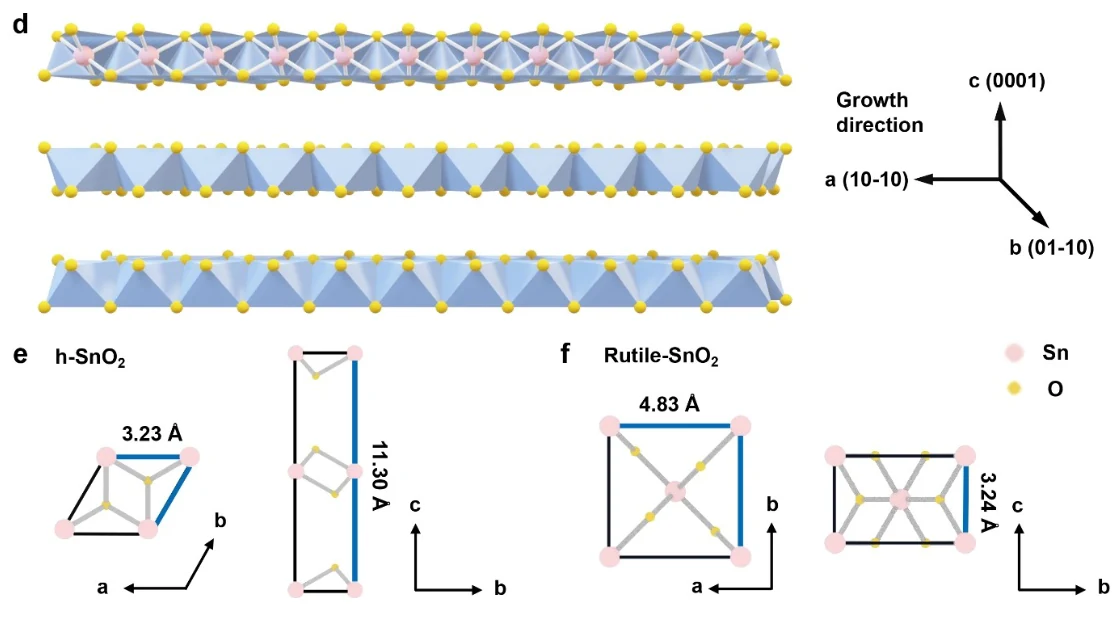 Metastable hexagonal phase SnO2 nanoribbons with active edge sites for efficient hydrogen peroxide electrosynthesis in neutral media