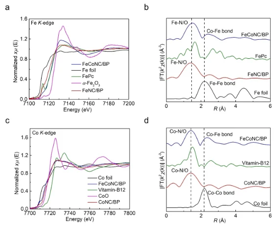Modification of Conductive Carbon with N-Coordinated Fe-Co Dual-Metal Sites for Oxygen Reduction Reaction