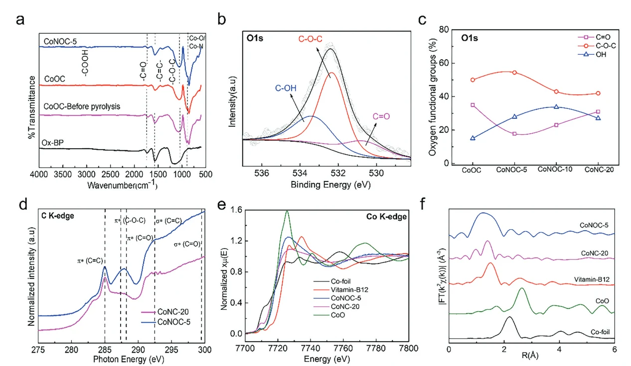Mimicking metalloenzyme microenvironments in the transition metal-single atom catalysts for electrochemical hydrogen peroxide synthesis in an acidic medium