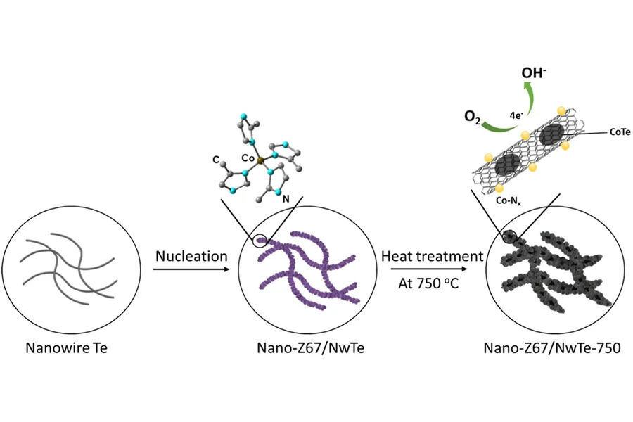 High performance of metal-organic framework-derived catalyst supported by tellurium nanowire for oxygen reduction reaction