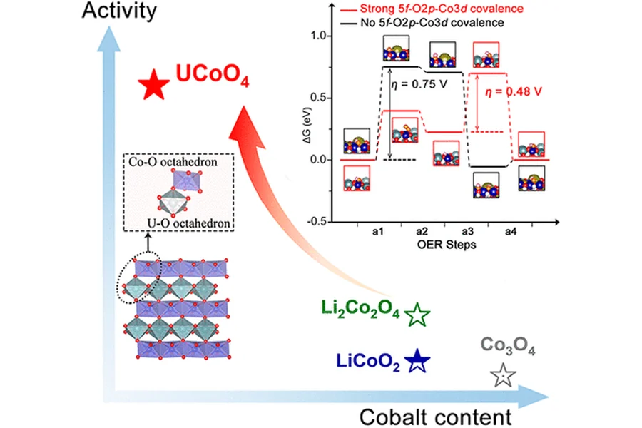 5f covalency synergistically boosting oxygen evolution of UCoO4 catalyst