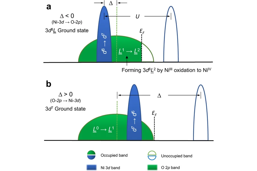 Unusual double ligand holes as catalytic active sites in LiNiO2