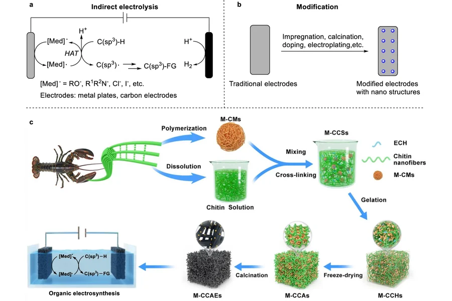 Electrocatalytic C(sp3)-H bond functionalization using biomass-derived electrodes