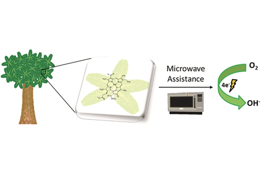 Microwave-assisted pyrolysis of Pachira aquatica leaves as a catalyst for the oxygen reduction reaction
